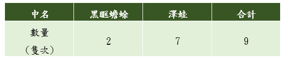 工區兩生類統計表